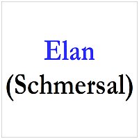 Elan / SCHMERSAL